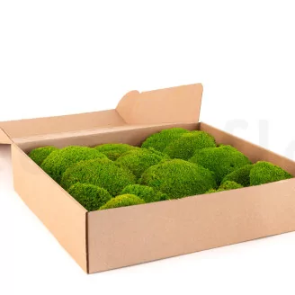 Preserved Pole Moss Light Green (Box)