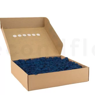 Preserved Reindeer Moss Royal Blue (Box)