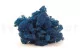 Preserved Reindeer Moss Royal Blue (Box) 1