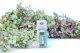 Floral Scent Oil Nymphaea 2