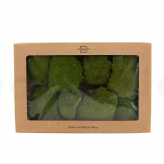 Preserved Pole Moss Nature Green (Box)