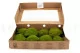Preserved Pole Moss Nature Green (Box) 2