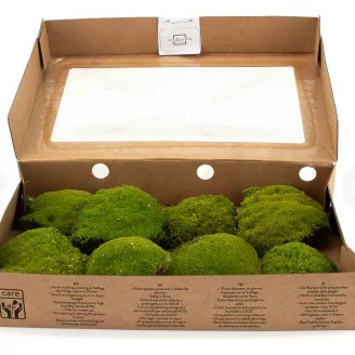 Preserved Pole Moss Nature Green (Box)