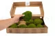 Preserved Pole Moss Nature Green (Box) 5