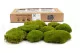 Preserved Pole Moss Nature Green (Box) 4