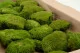 Preserved Pole Moss Nature Green (Bulk Box) 6