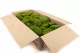 Preserved Pole Moss Nature Green (Bulk Box) 2