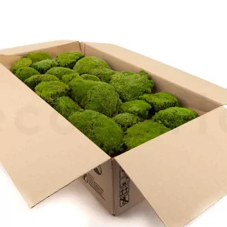 Preserved Pole Moss Nature Green (Bulk Box)
