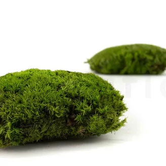 Preserved Pole Moss Nature Green (Bulk Box)