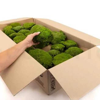 Preserved Pole Moss Nature Green (Bulk Box)