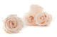 Preserved rose Kiara XL - Box of 6 - Pink Blush Roses 7