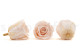 Preserved rose Kiara XL - Box of 6 - Pink Blush Roses 3