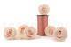 Preserved rose Kiara XL - Box of 6 - Pink Blush Roses 9