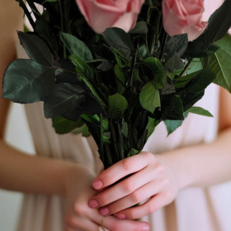 Preserved rose stem short extra - 5 Stems - Green