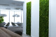 Preserved Hair Moss - Box - Light Green 1
