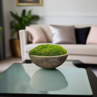 Preserved Mood Moss - Box - Light Green
