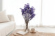 Preserved Baby's Breath Gypsophila - Bunch - Blue 1