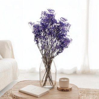 Preserved Baby's Breath Gypsophila - Bunch - Blue