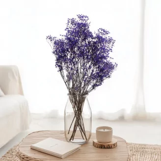 Preserved Baby's Breath Gypsophila Blue