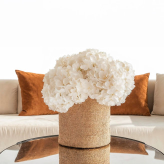 Preserved Hydrangea - White