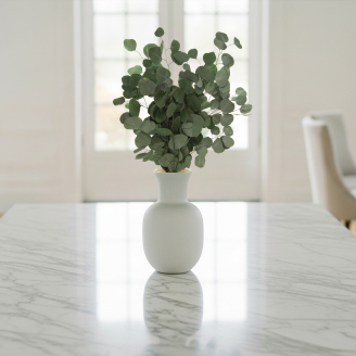 Preserved Eucalyptus Silver dollar - Green