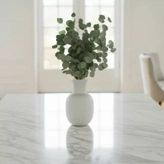 Preserved Eucalyptus Silver Dollar
