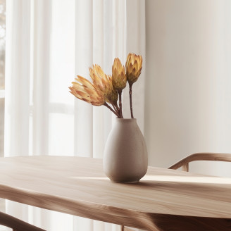 Dried Protea Repens - 5 Stems - Cream