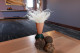 Dried Stipa Pennata - Natural 1