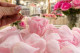 Floral Scent Oil Rose 1