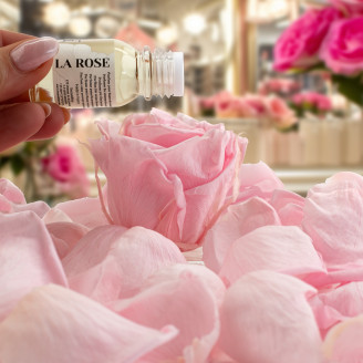 Floral Scent Oil - 1 Bottle - Rose