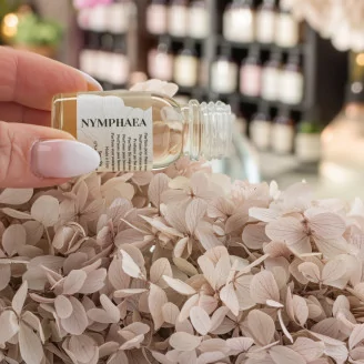 Floral Scent Oil Nymphaea
