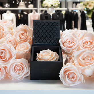 1 Pink Preserved Rose in a Square Box