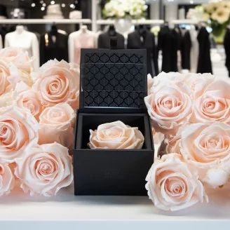 Preserved rose in a box Pink