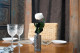 Preserved english roses on stem in bulk 12" - 25 Units - White 1