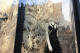 Preserved Mountain Fern White 14