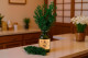 Preserved Ming Fern - Green 1