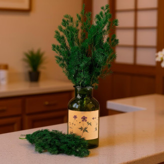 Preserved Ming Fern - Green