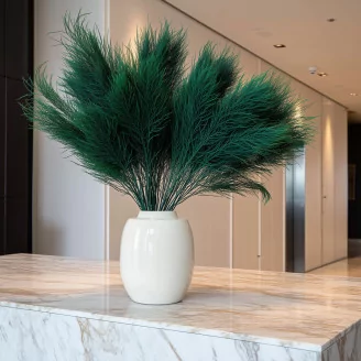 Preserved Tree Fern