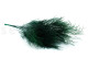 Preserved Tree Fern - Green 7
