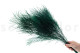 Preserved Tree Fern - Green 6