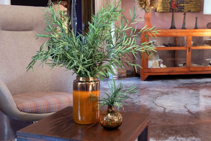 Preserved Eucalyptus Nicoly - Green