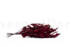 Preserved Eucalyptus Willow Red 3