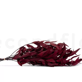 Preserved Eucalyptus Willow Red