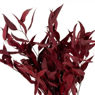 Preserved Eucalyptus Willow Red