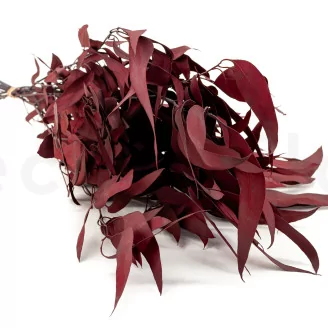 Preserved Eucalyptus Willow Red