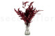 Preserved Eucalyptus Willow - Red 2