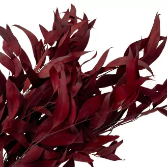Preserved Eucalyptus Willow Red