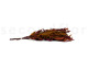 Preserved Eucalyptus Willow - Autumn Mix 3