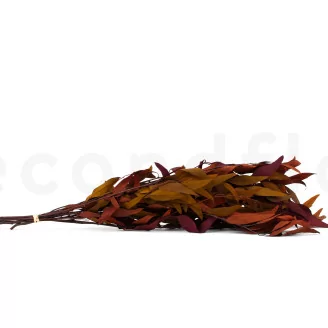 Preserved Eucalyptus Willow Autumn Mix