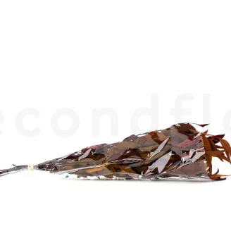 Preserved Eucalyptus Willow Autumn Mix